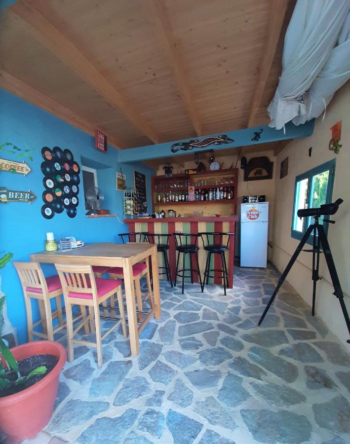Casa Pura Vida Bed & Breakfast Relleu Exterior photo