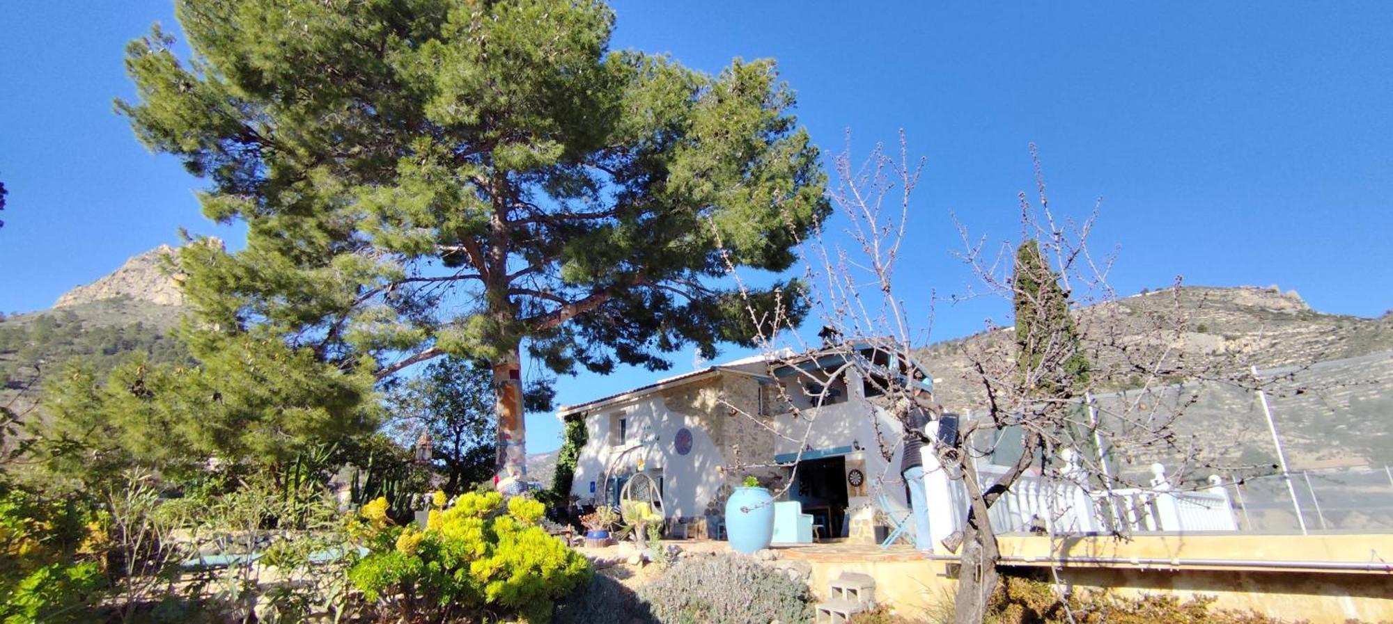 Casa Pura Vida Bed & Breakfast Relleu Exterior photo